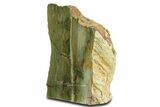 Free-Standing, Gary Green Jasper (Larsonite) Bog Wood - Oregon #334808-1